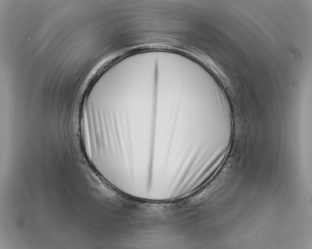 X0000112941240200909211127