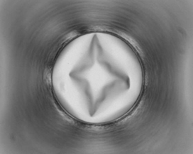 X0000112941241200909211127
