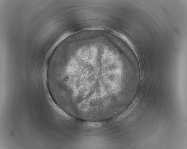 X0000112941243200909211127
