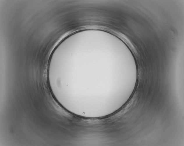 X0000112941244200909211127