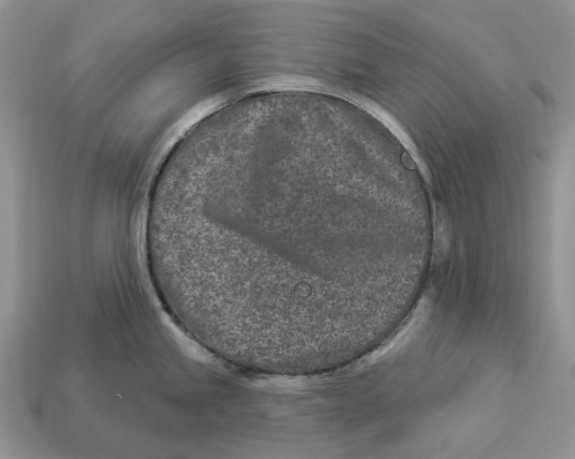 X0000112941245200909211127