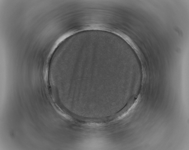 X0000112941246200909211127