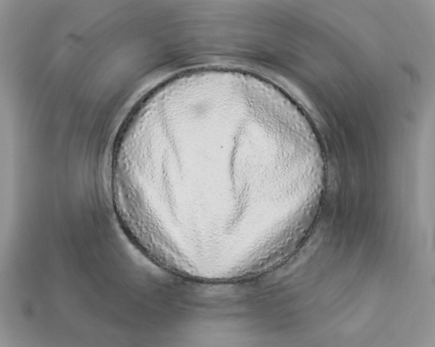 X0000112941247200909211127