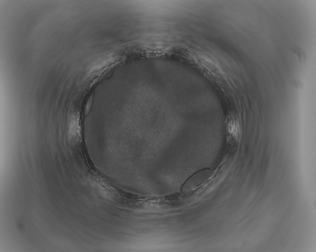 X0000112941252200909211126