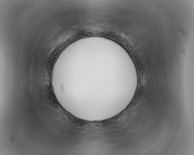 X0000112941253200909211126