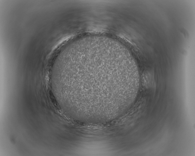 X0000112941254200909211126