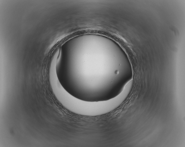 X0000112941255200909211126