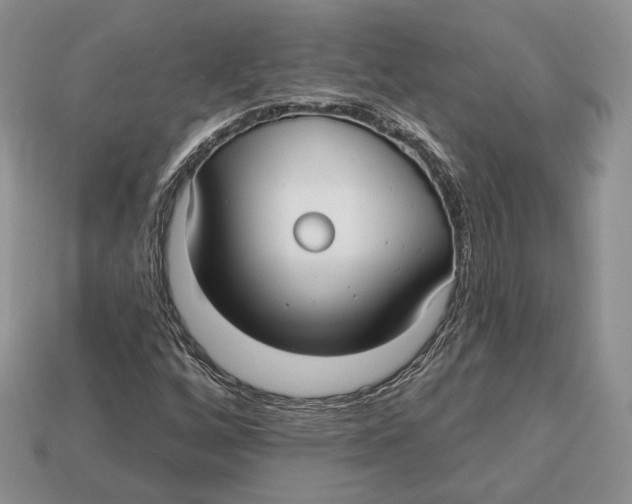 X0000112941256200909211126