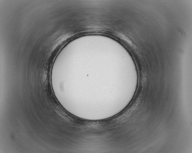 X0000112941259200909211126