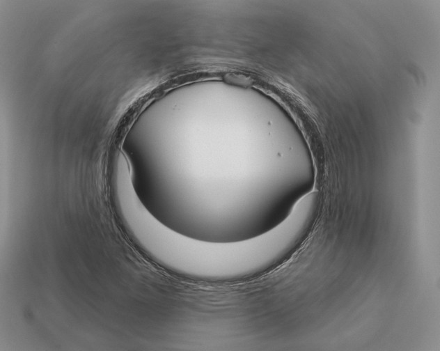 X0000112941261200909211126