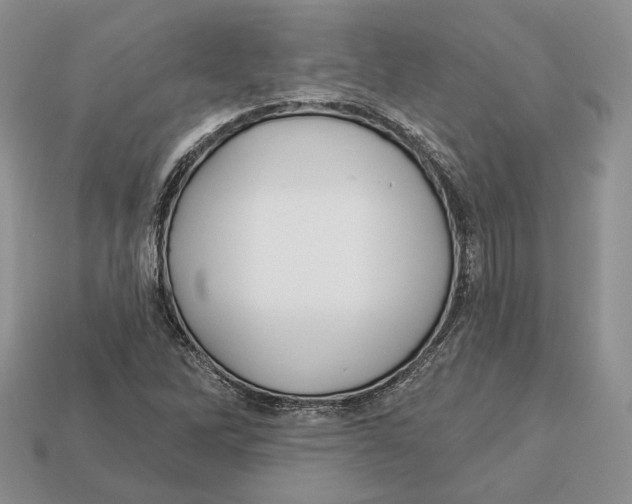 X0000112941262200909211126