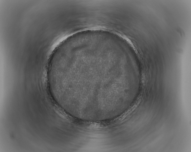 X0000112941263200909211126