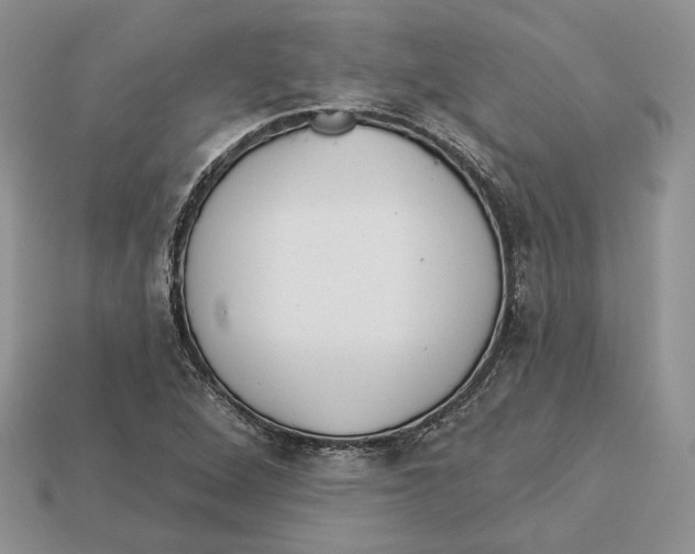 X0000112941264200909211126