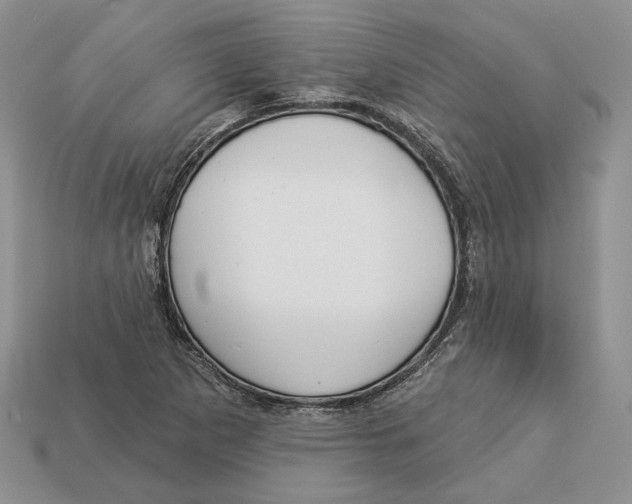 X0000112941265200909211126