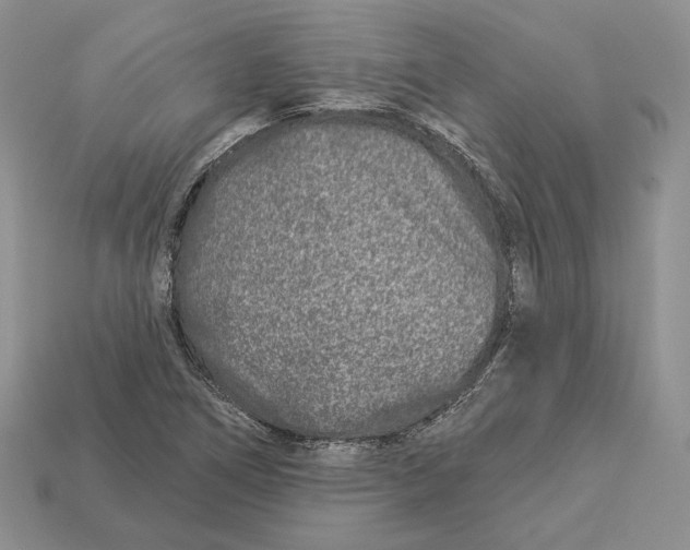 X0000112941266200909211126