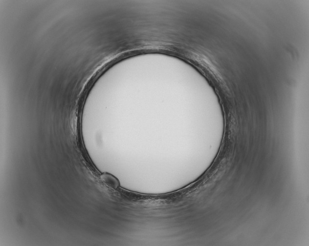 X0000112941268200909211126