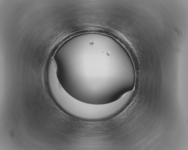 X0000112941269200909211126