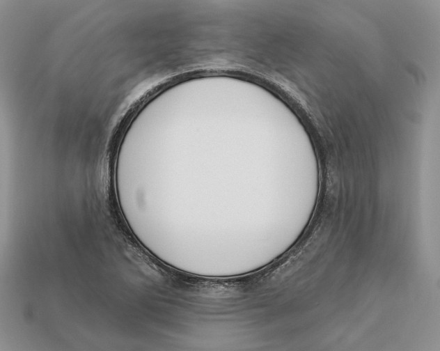 X0000112941270200909211126