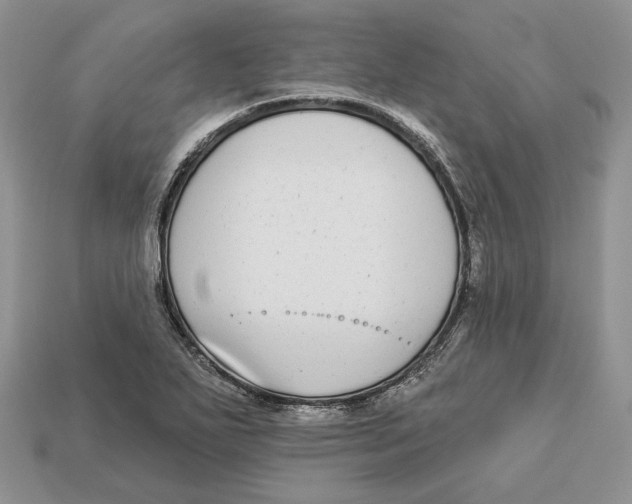 X0000112941271200909211126