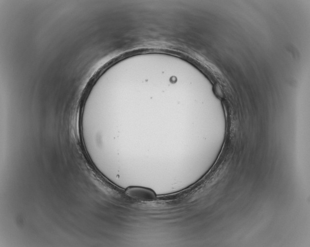 X0000112941272200909211126