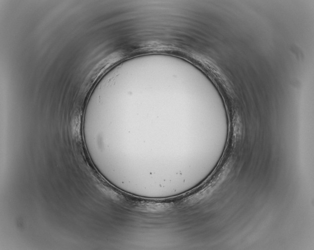 X0000112941273200909211126