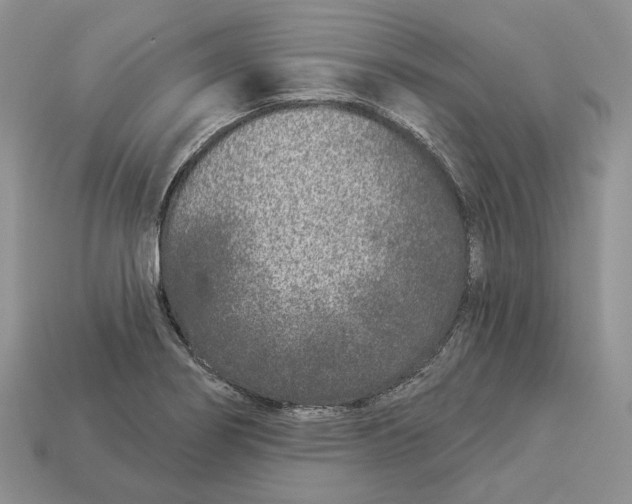 X0000112941274200909211126