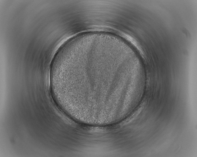 X0000112941275200909211126