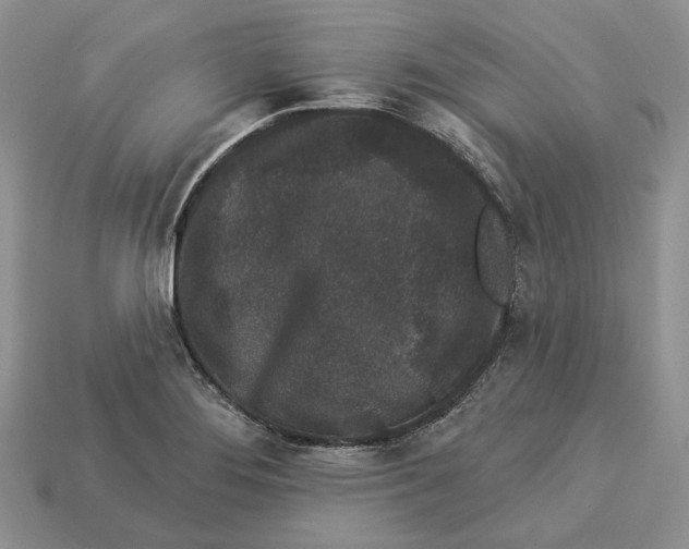 X0000112941276200909211126