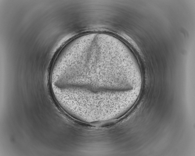 X0000112941277200909211126