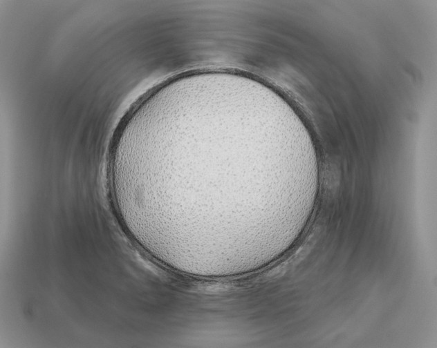 X0000112941278200909211126