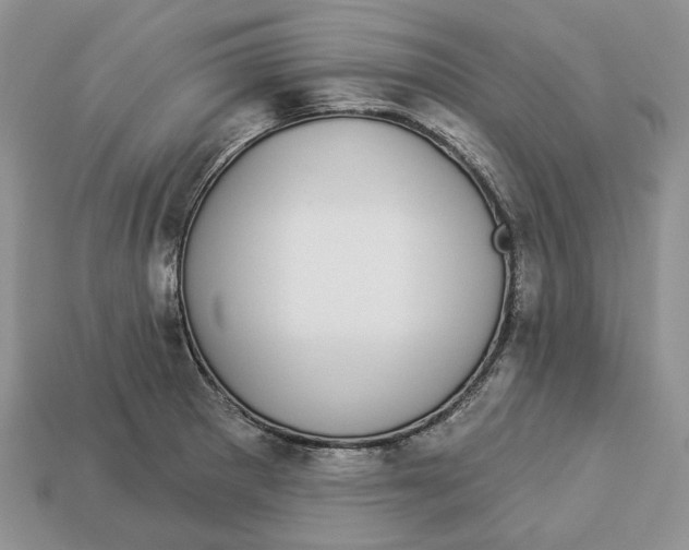 X0000112941281200909211126