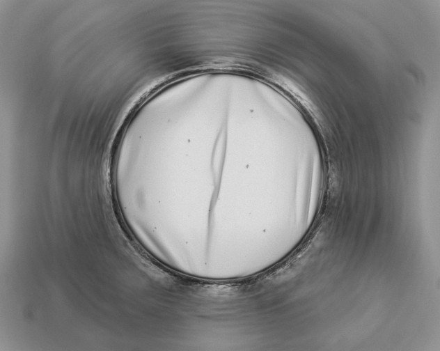 X0000112941283200909211126