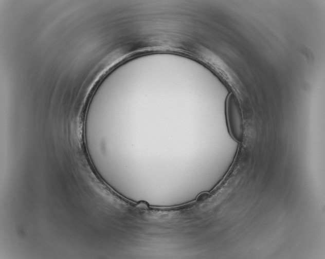 X0000112941284200909211126