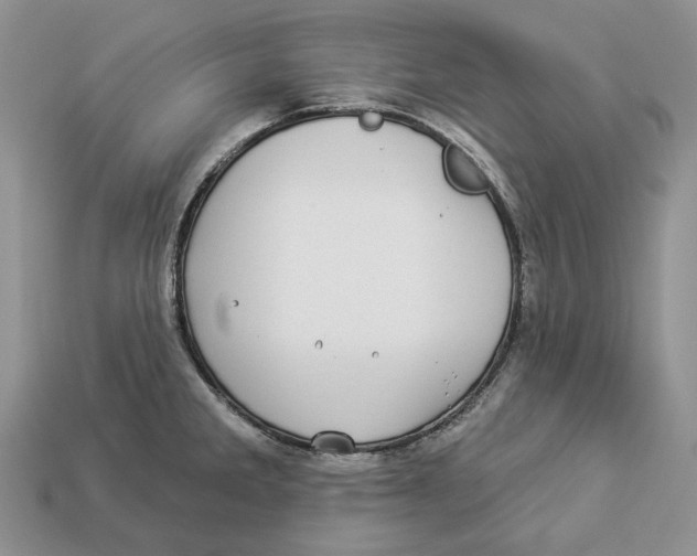 X0000112941285200909211126