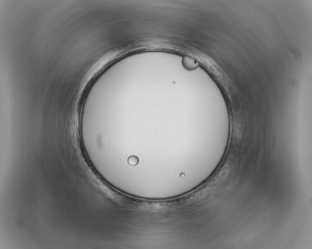 X0000112941286200909211126