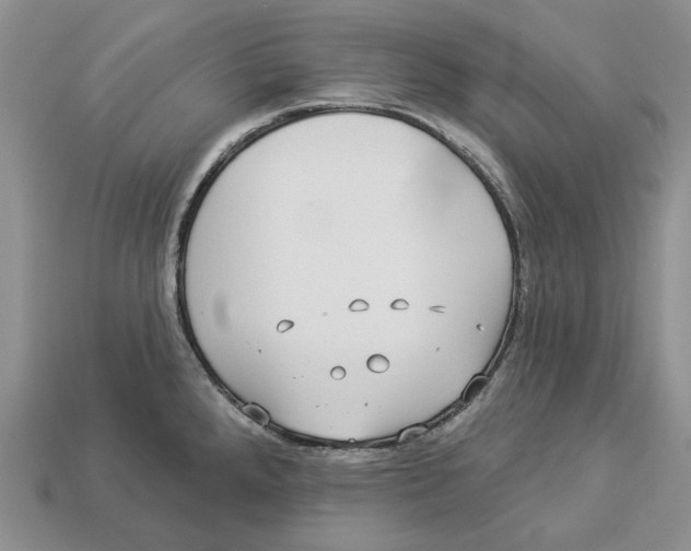 X0000112941288200909211126