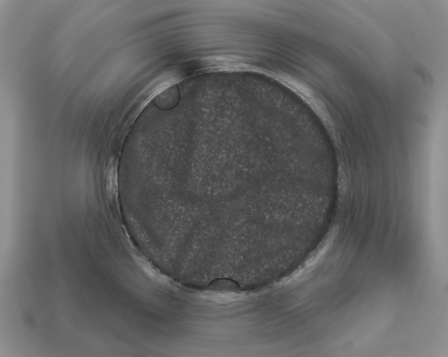 X0000112941289200909211126