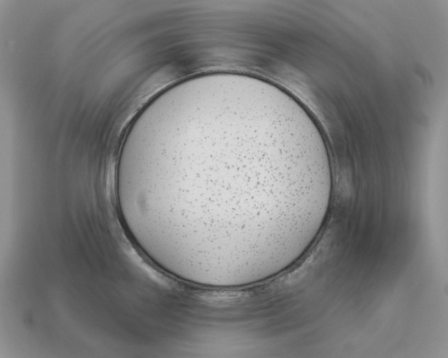 X0000112941290200909211126