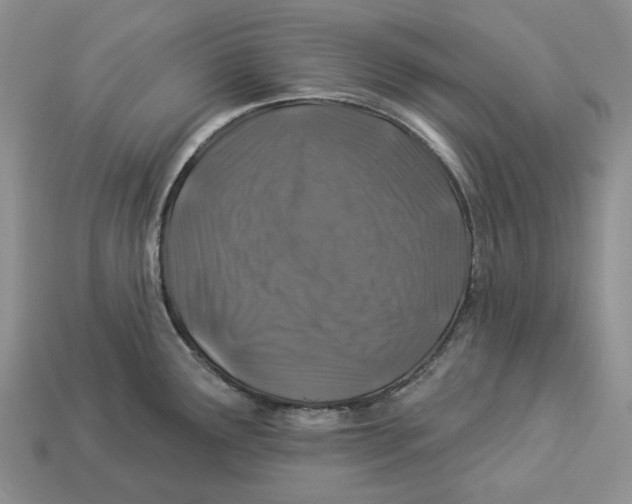 X0000112941291200909211126