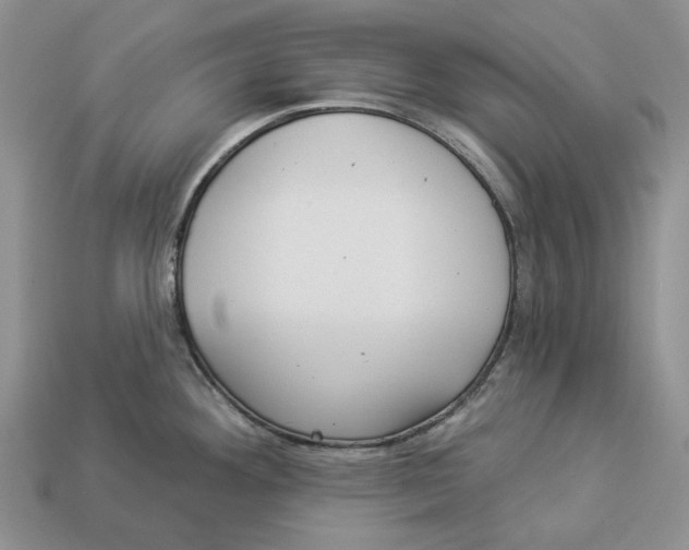 X0000112941292200909211126
