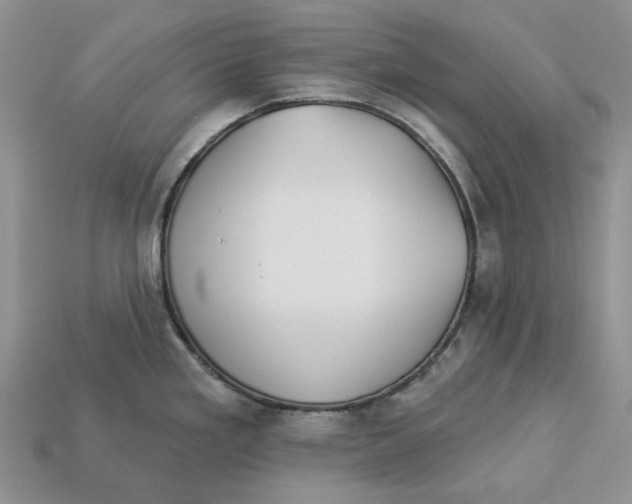 X0000112941293200909211126