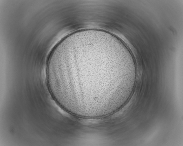 X0000112941294200909211126