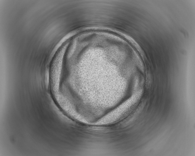 X0000112941295200909211126