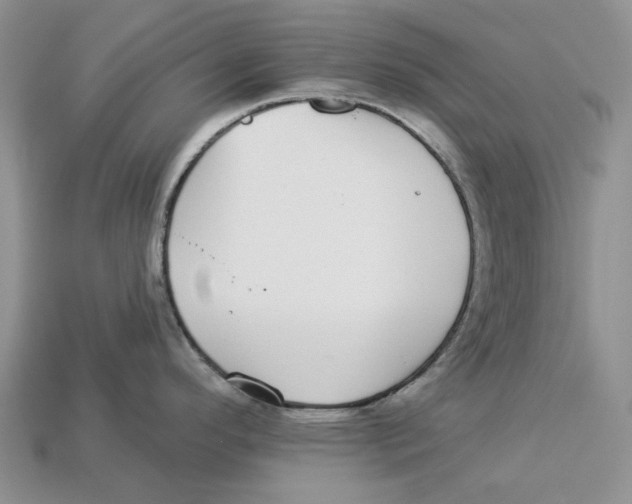 X0000112941296200909211126