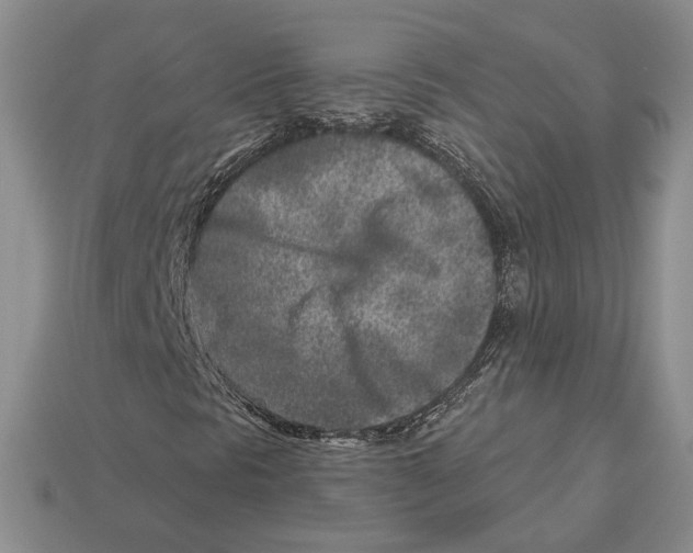 X0000112941297200909211125