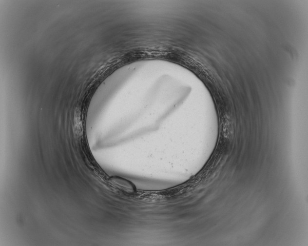 X0000112941298200909211125