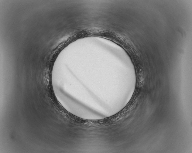 X0000112941301200909211125
