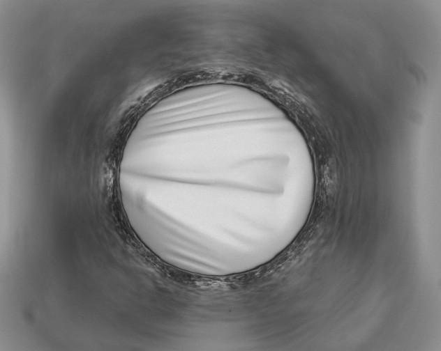 X0000112941302200909211125