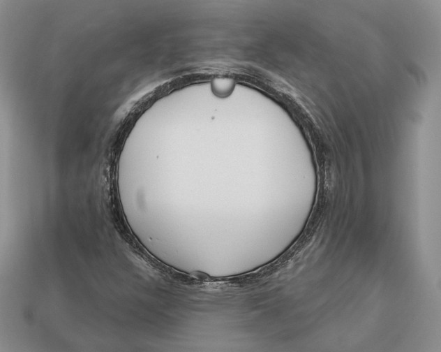 X0000112941304200909211125