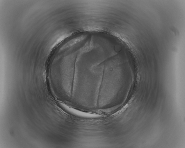 X0000112941306200909211125